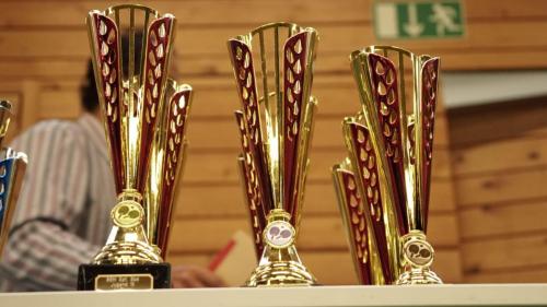 308120933 596966858892862 3653307097768542898 n