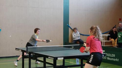 311075567 596966842226197 2529579023161950455 n