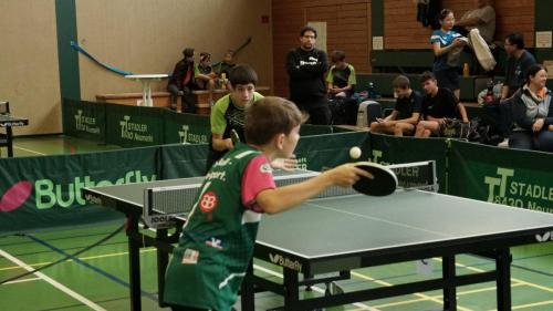 311676806 596975148892033 7321587394595593449 n