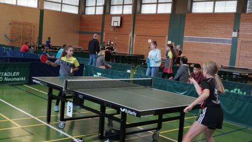 311868966 596965822226299 7271784154460211815 n