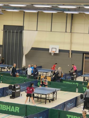 317927856 638292818093599 7565821025651565656 n