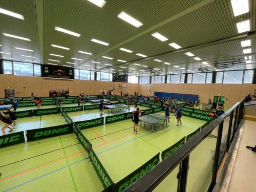 WhatsApp-Bild-2023-06-17-um-08.56.38